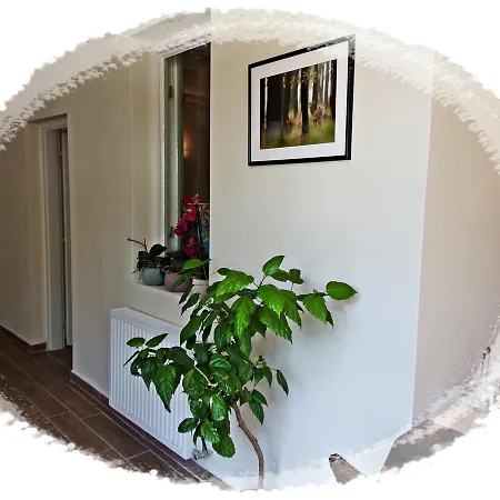 Affittacamere Barátok 3*